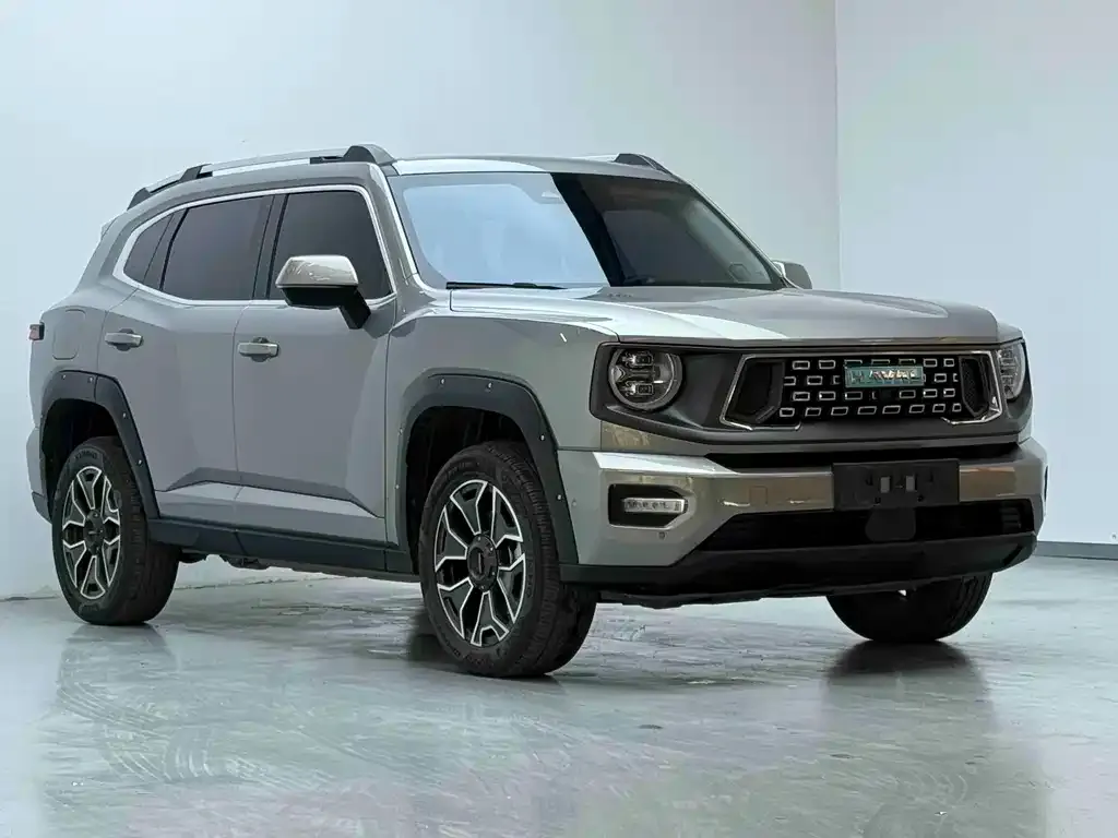 Haval Big Dog PLUS New Energy — фото 8