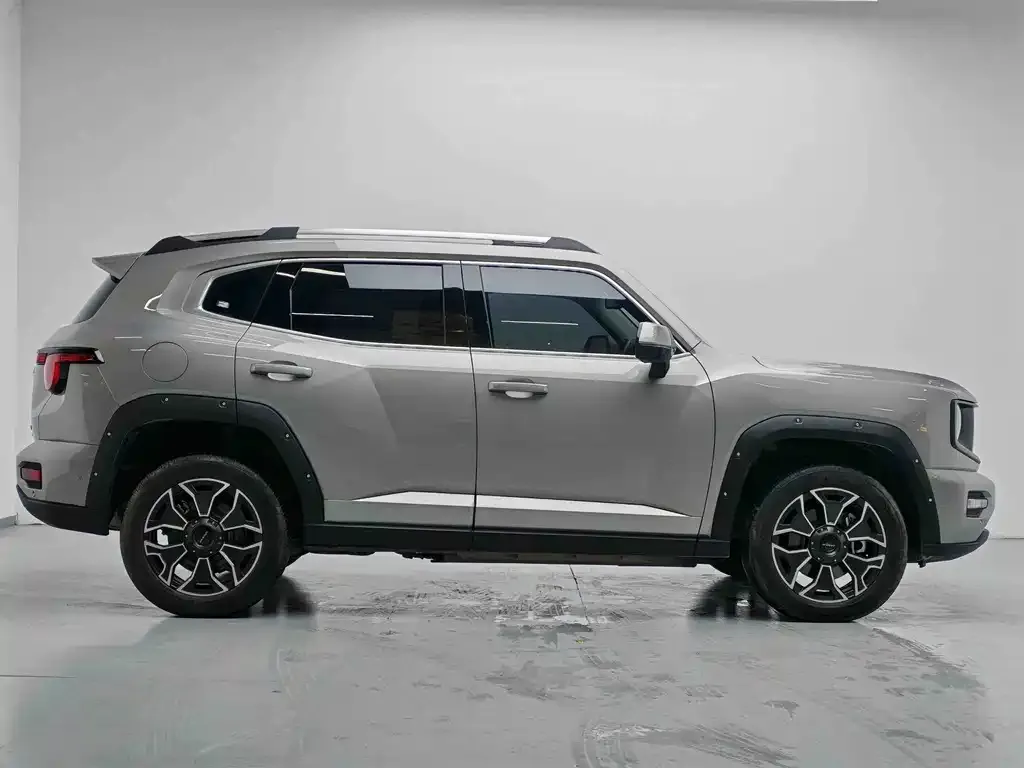 Haval Big Dog PLUS New Energy — фото 9