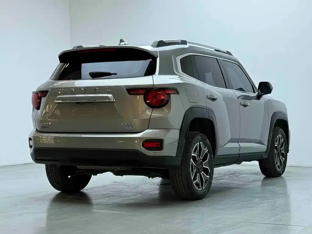 Haval Big Dog PLUS New Energy — фото 10