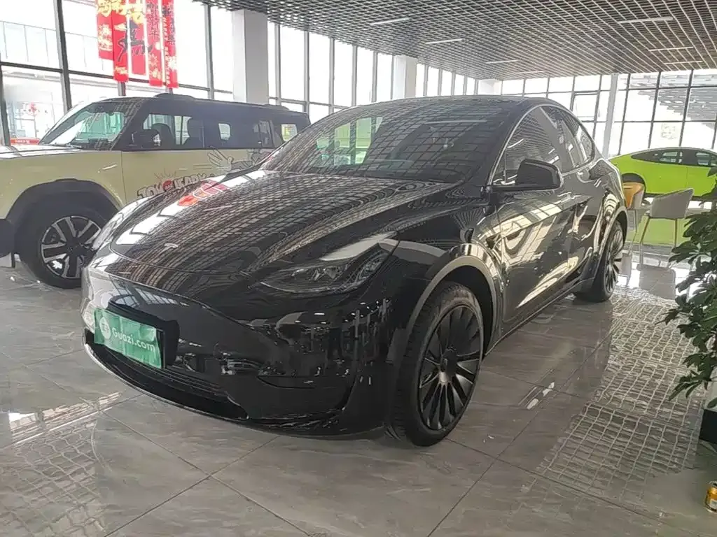 Tesla Model Y — фото 1