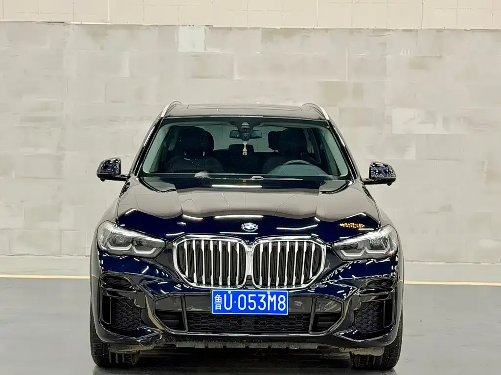 BMW X5 — фото 9