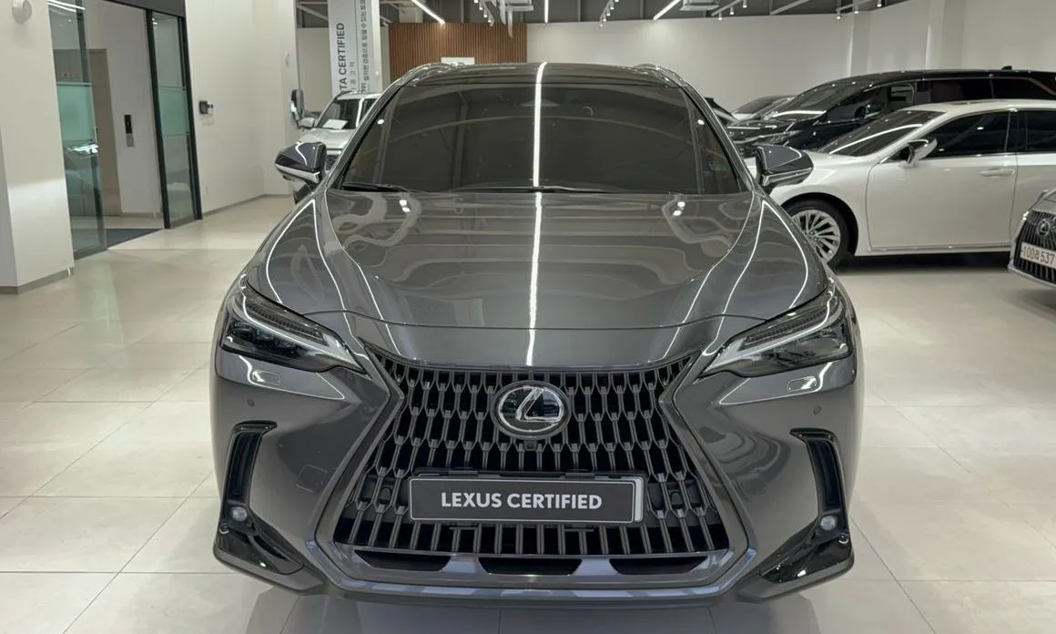 Lexus NX — фото 10