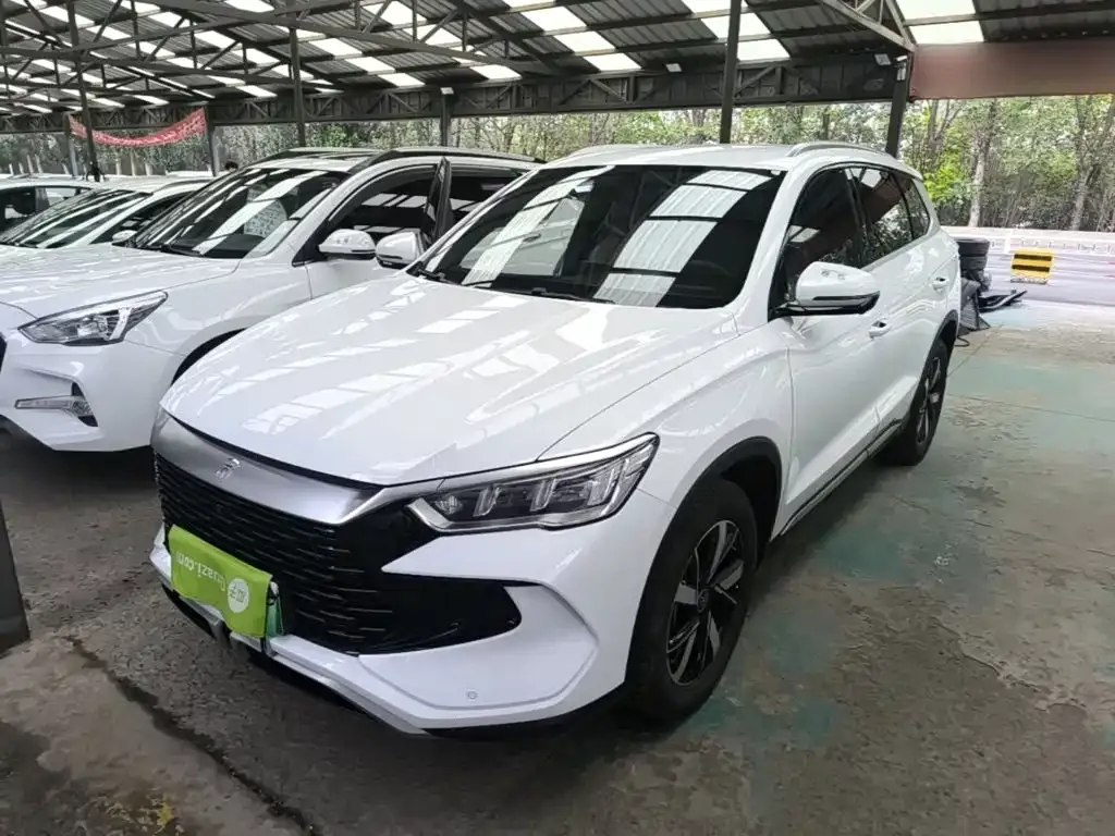 BYD Pro New Energy — фото 1
