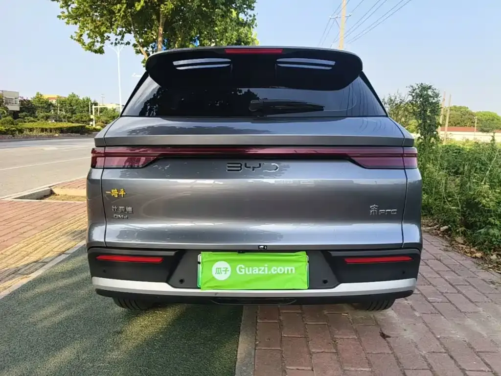BYD Pro New Energy — фото 2