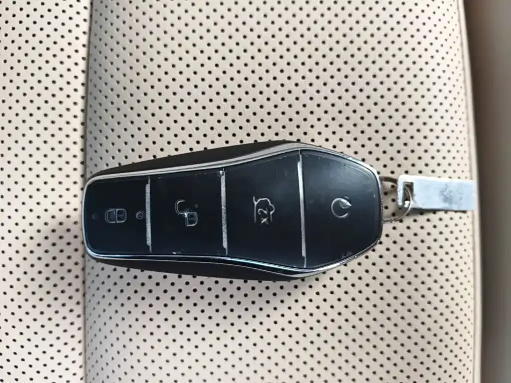 BYD Pro New Energy — фото 4