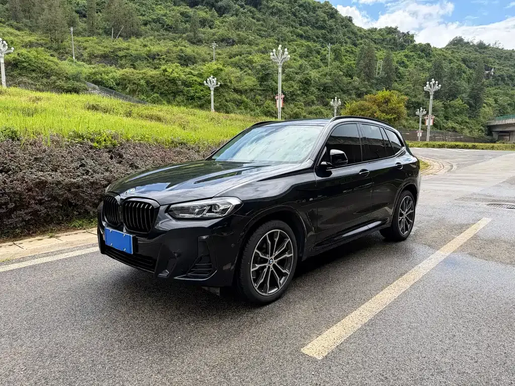 BMW X3 — фото 1
