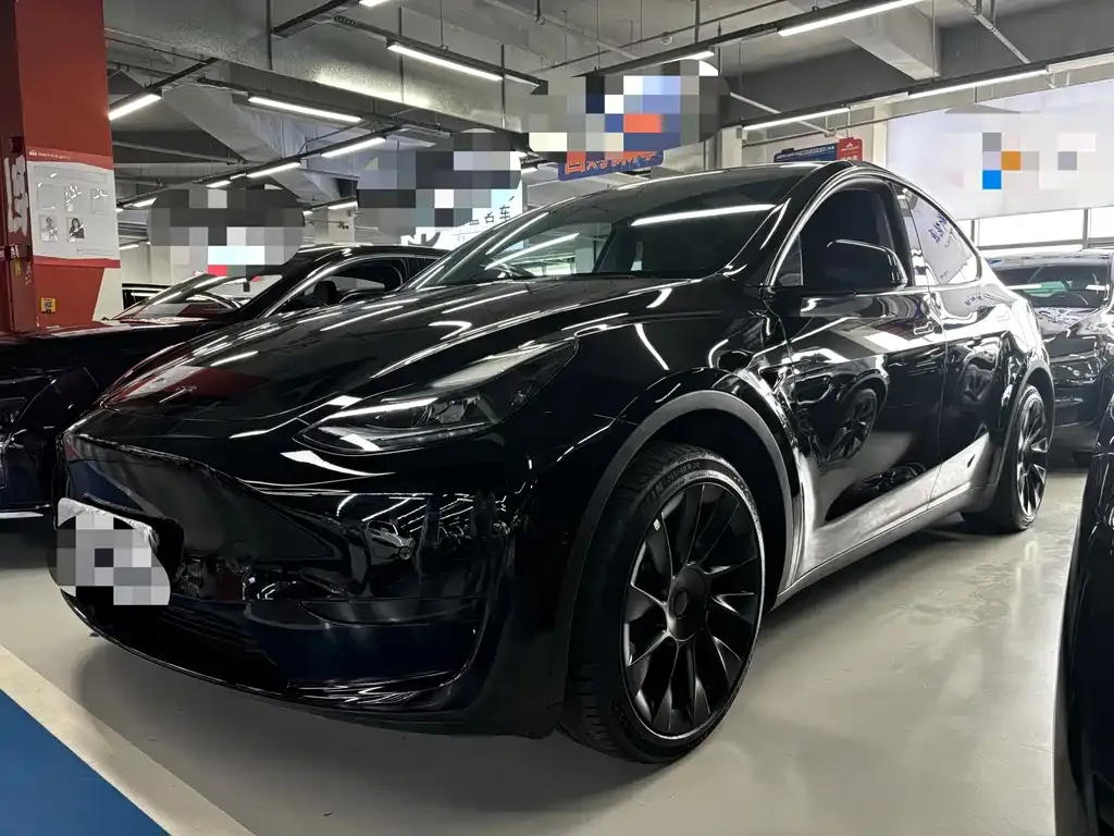 Tesla Model Y — фото 1