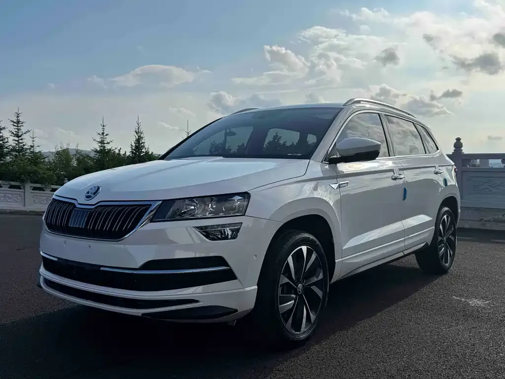 Skoda Karoq — фото 1