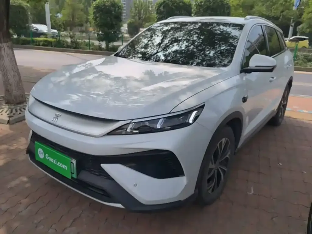 BYD Pro New Energy — фото 1