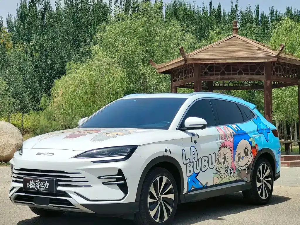 BYD PLUS New Energy — фото 1