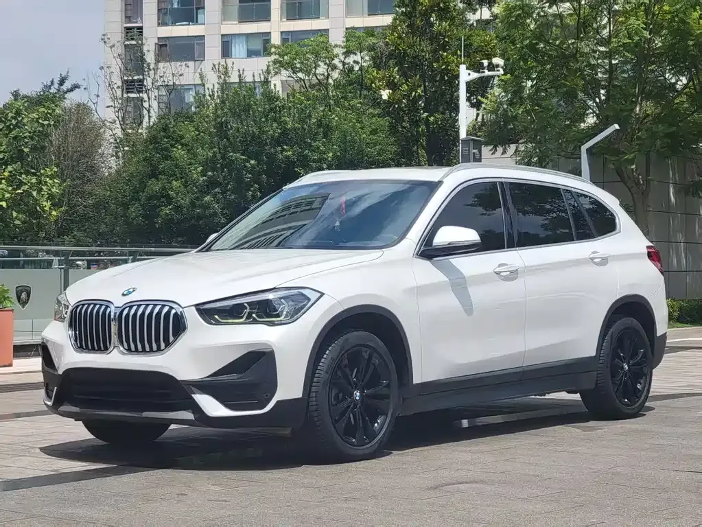 BMW X1 — фото 1