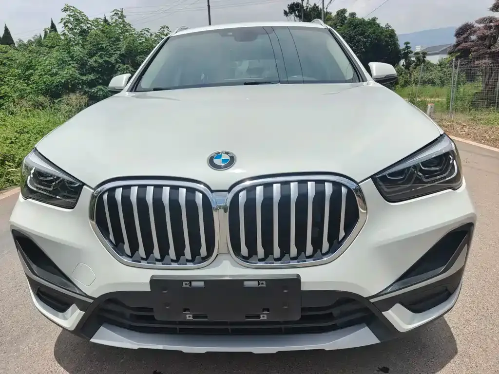 BMW X1 — фото 1