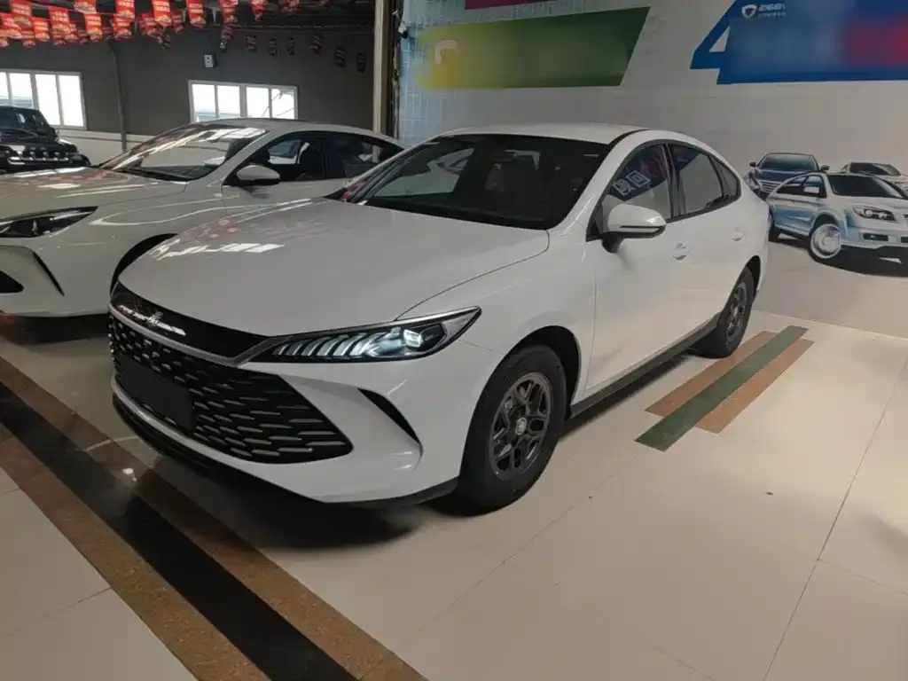 BYD Qin PLUS — фото 9