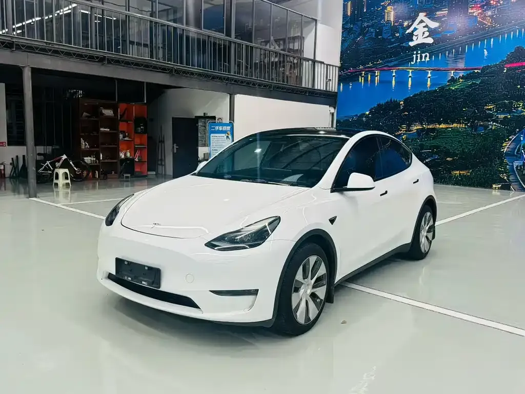 Tesla Model Y — фото 1