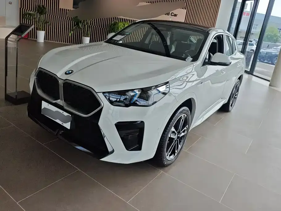 BMW X2 (Import) — фото 1