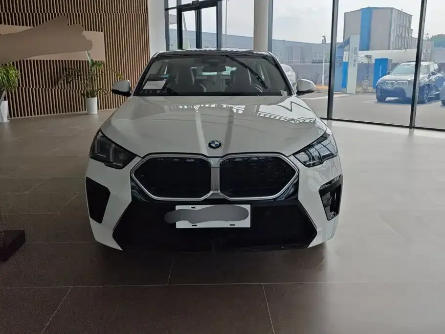 BMW X2 (Import) — фото 3
