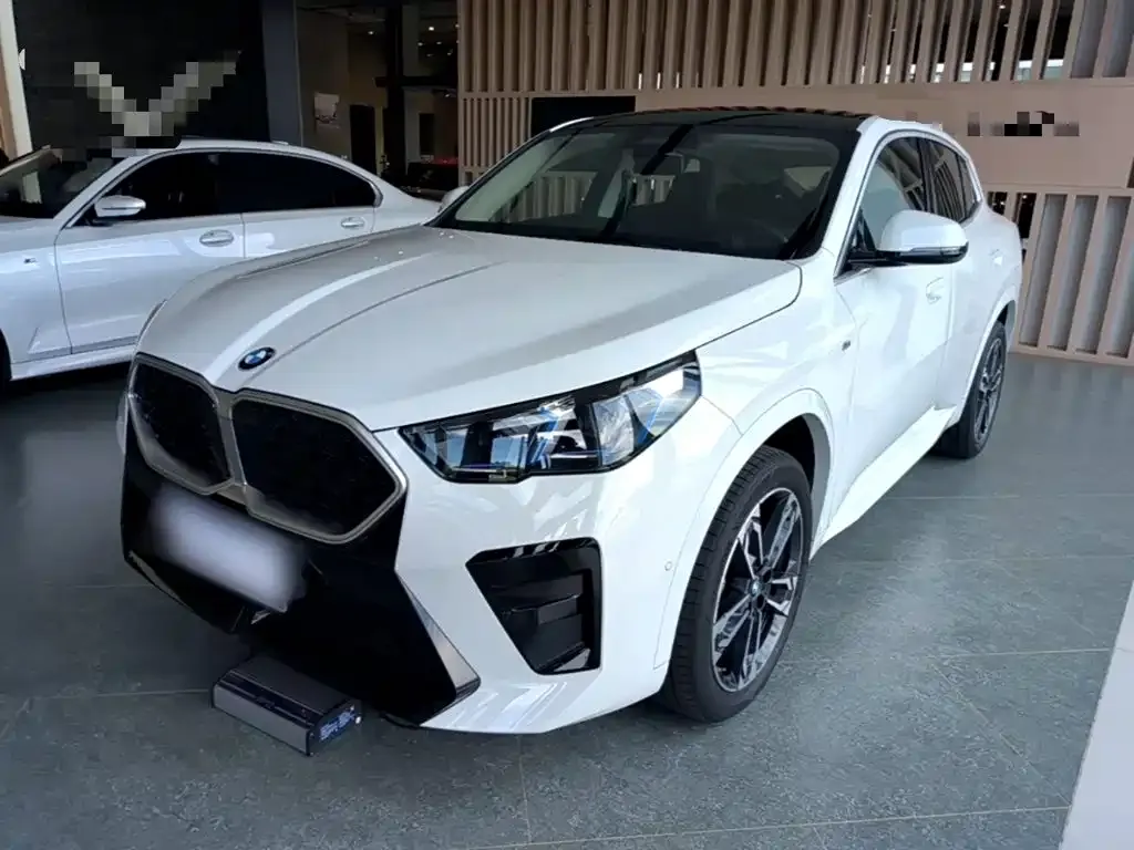 BMW X2 (Import) — фото 1