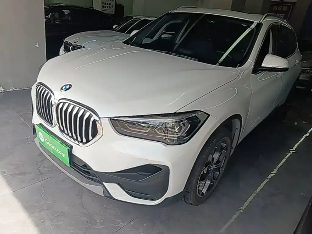 BMW X1 — фото 1