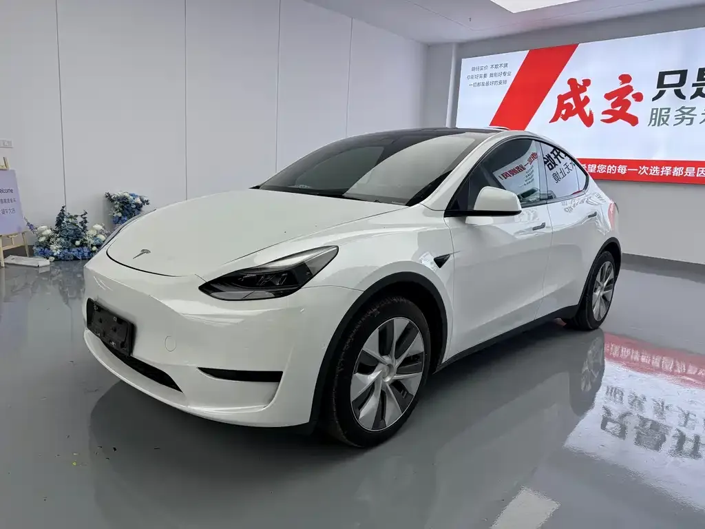 Tesla Model Y — фото 1