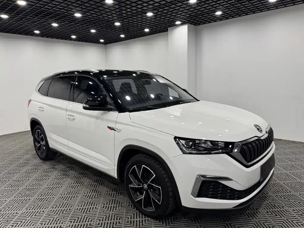 Skoda Kamiq — фото 1