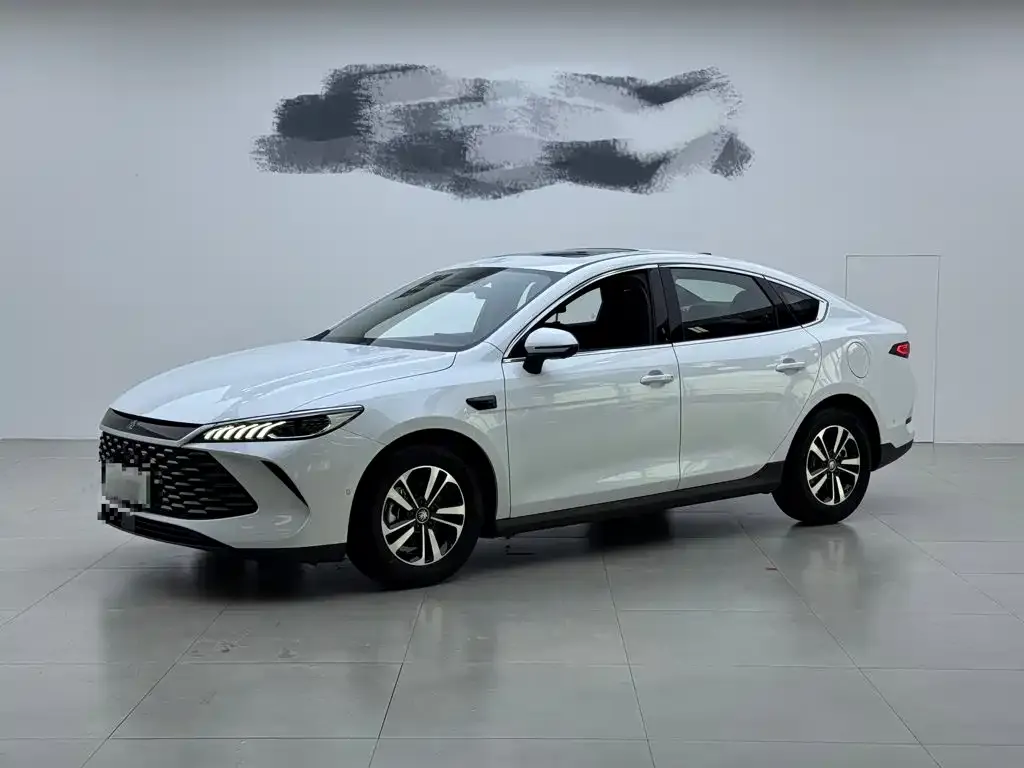 BYD Qin PLUS — фото 1
