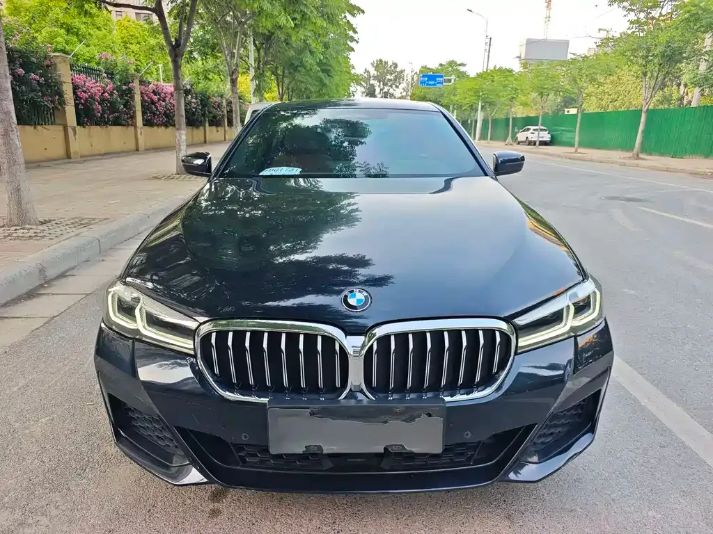 BMW 5 Series New Energy — фото 6