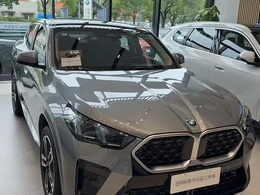BMW X2 (Import) — фото 1