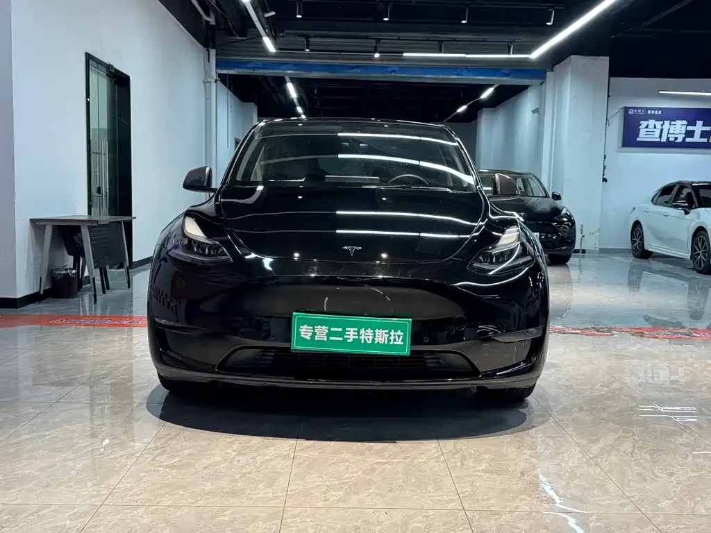 Tesla Model Y — фото 1