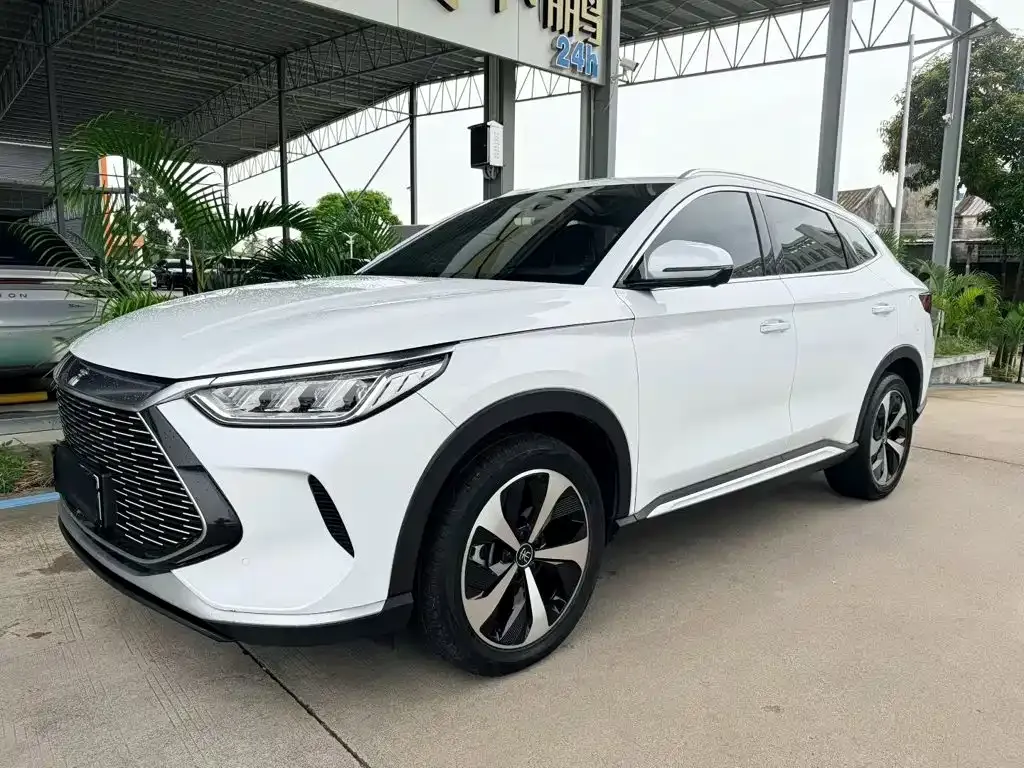 BYD PLUS New Energy — фото 1