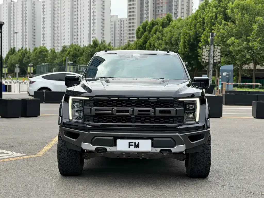 Ford F-150 Raptor — фото 1