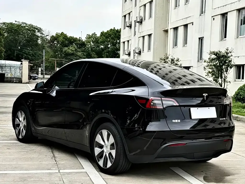 Tesla Model Y — фото 10
