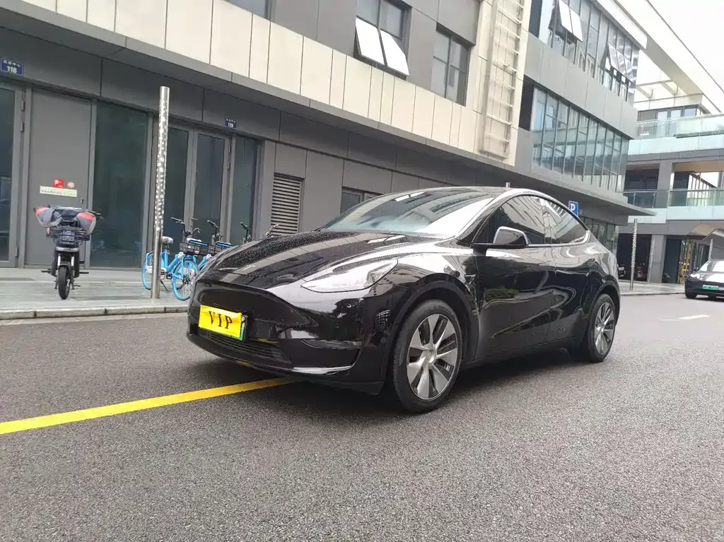 Tesla Model Y — фото 1