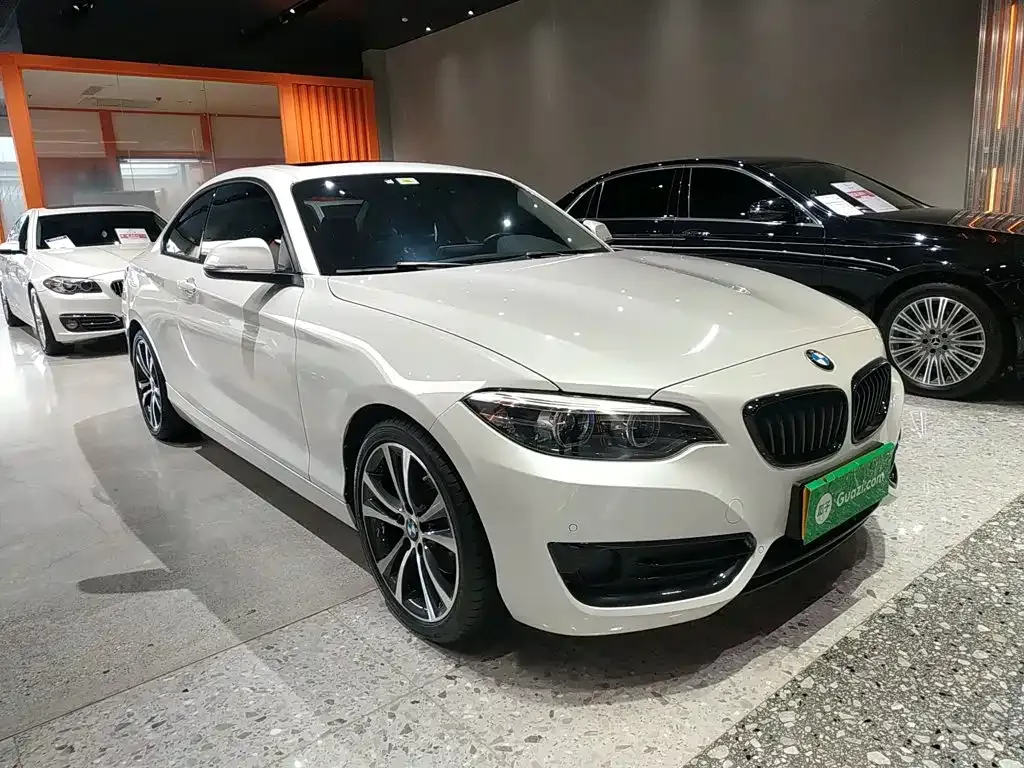BMW 2 Series (Import) — фото 10