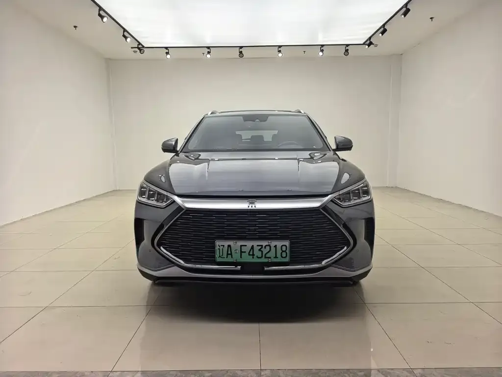 BYD PLUS New Energy — фото 3