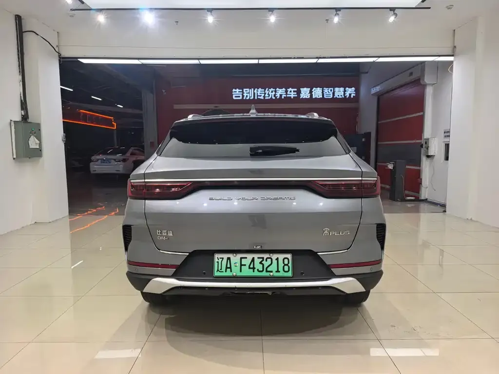 BYD PLUS New Energy — фото 4