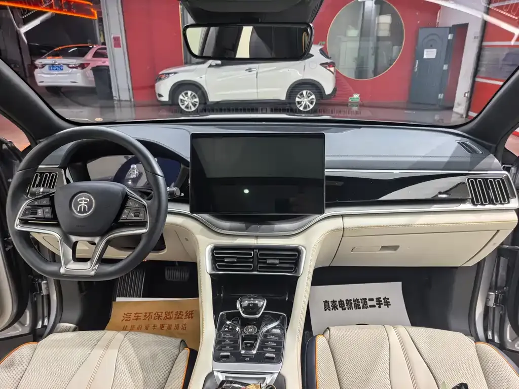 BYD PLUS New Energy — фото 10