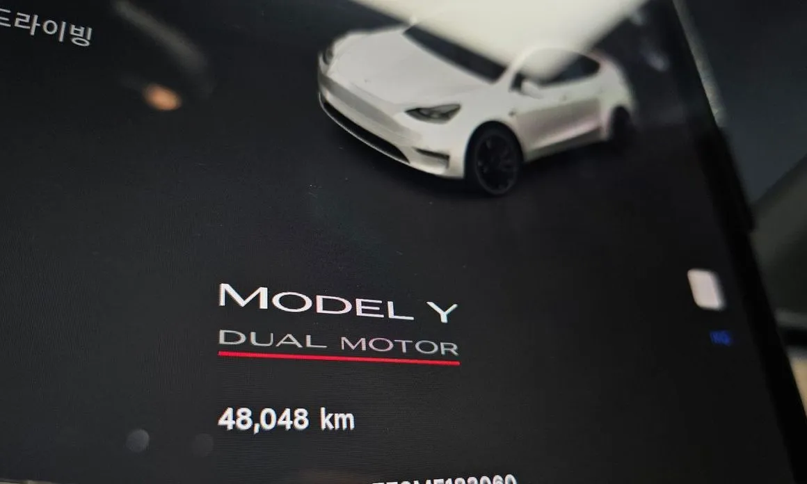Tesla Model Y — фото 4