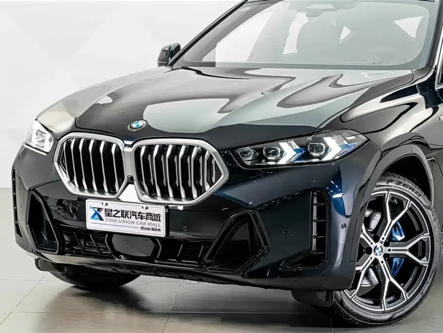 BMW X6 — фото 5