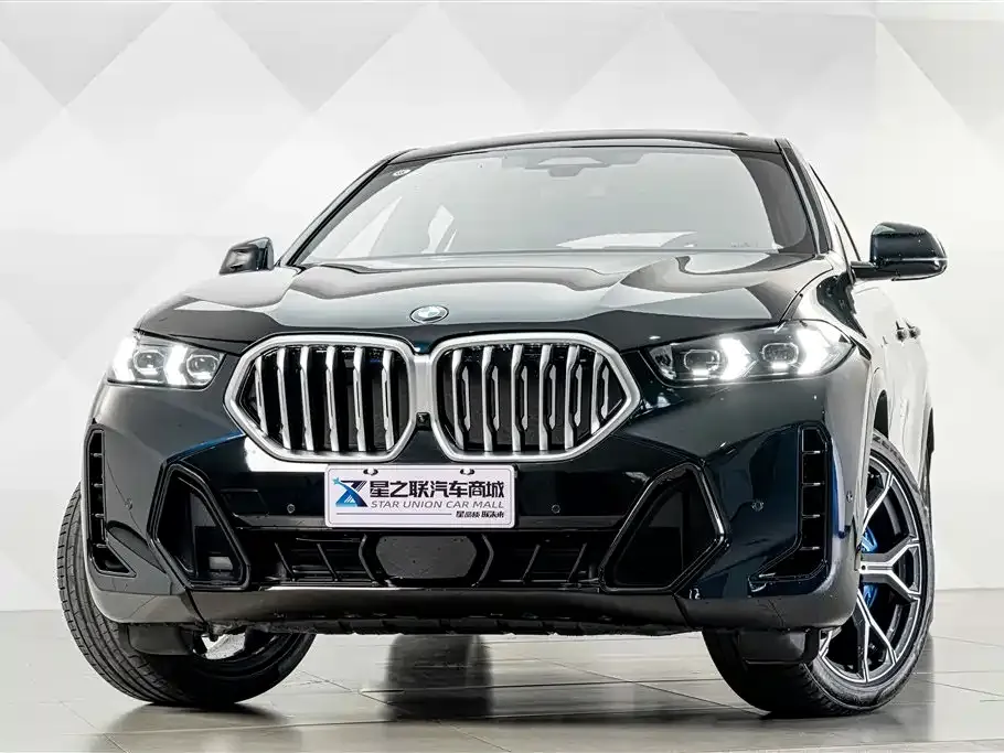 BMW X6 — фото 7
