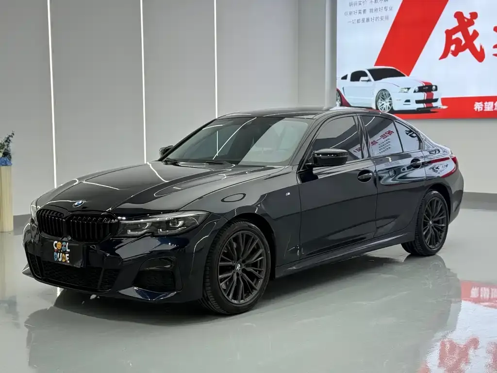 BMW 3 Series — фото 10