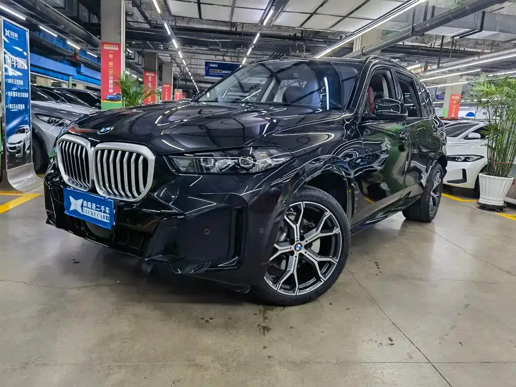 BMW X5 — фото 1