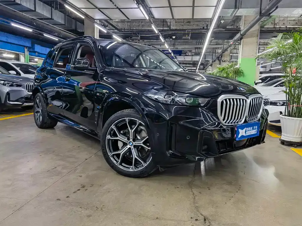 BMW X5 — фото 9