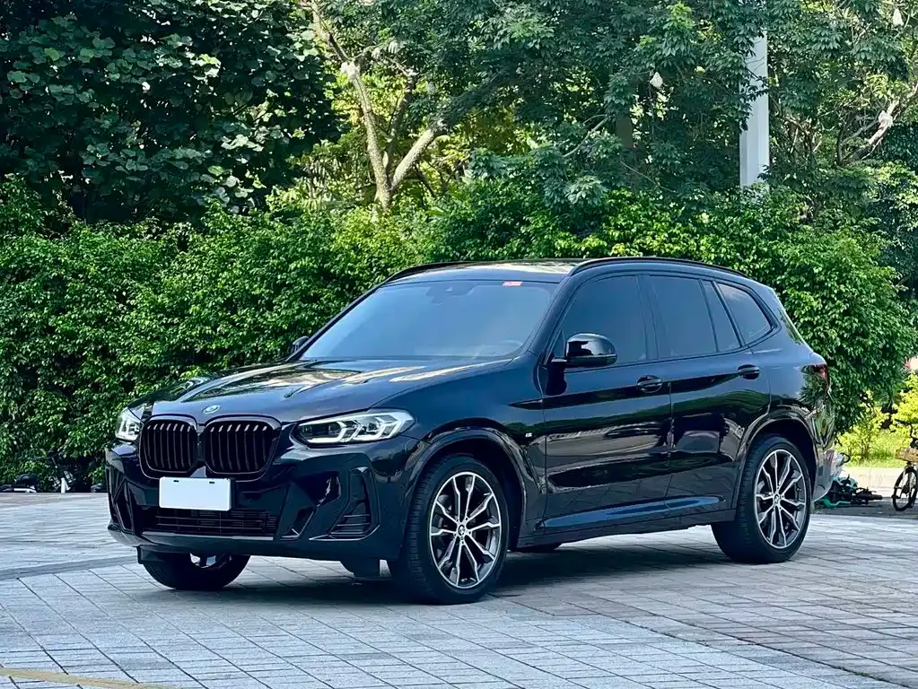 BMW X3 — фото 1
