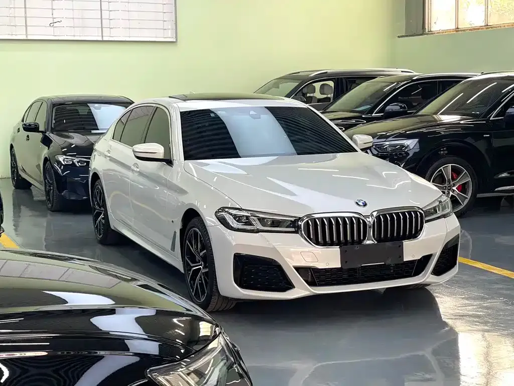BMW 5 Series — фото 5