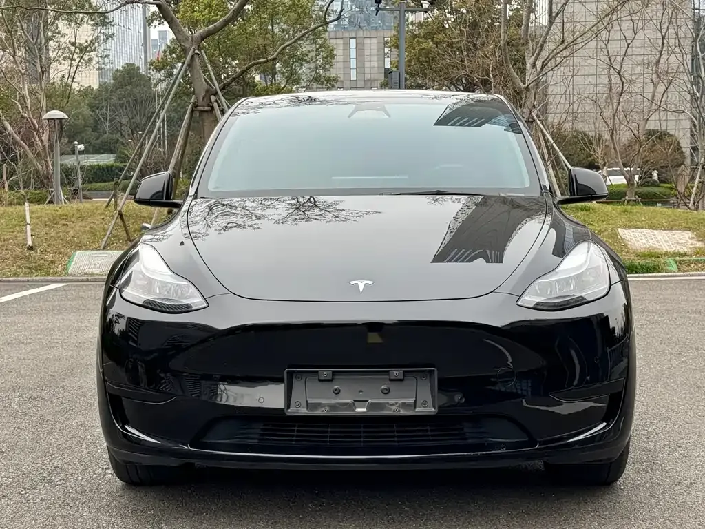 Tesla Model Y — фото 10