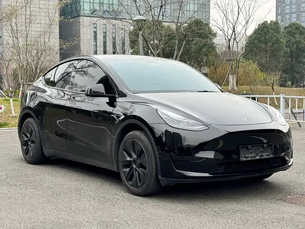Tesla Model Y — фото 9