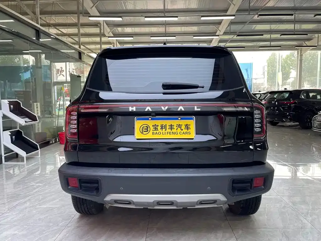 Haval Big Dog — фото 10