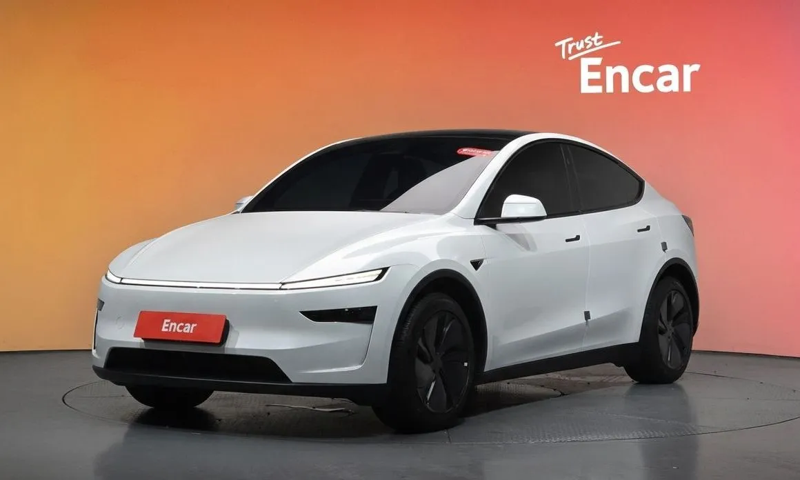 Tesla Model Y — фото 1