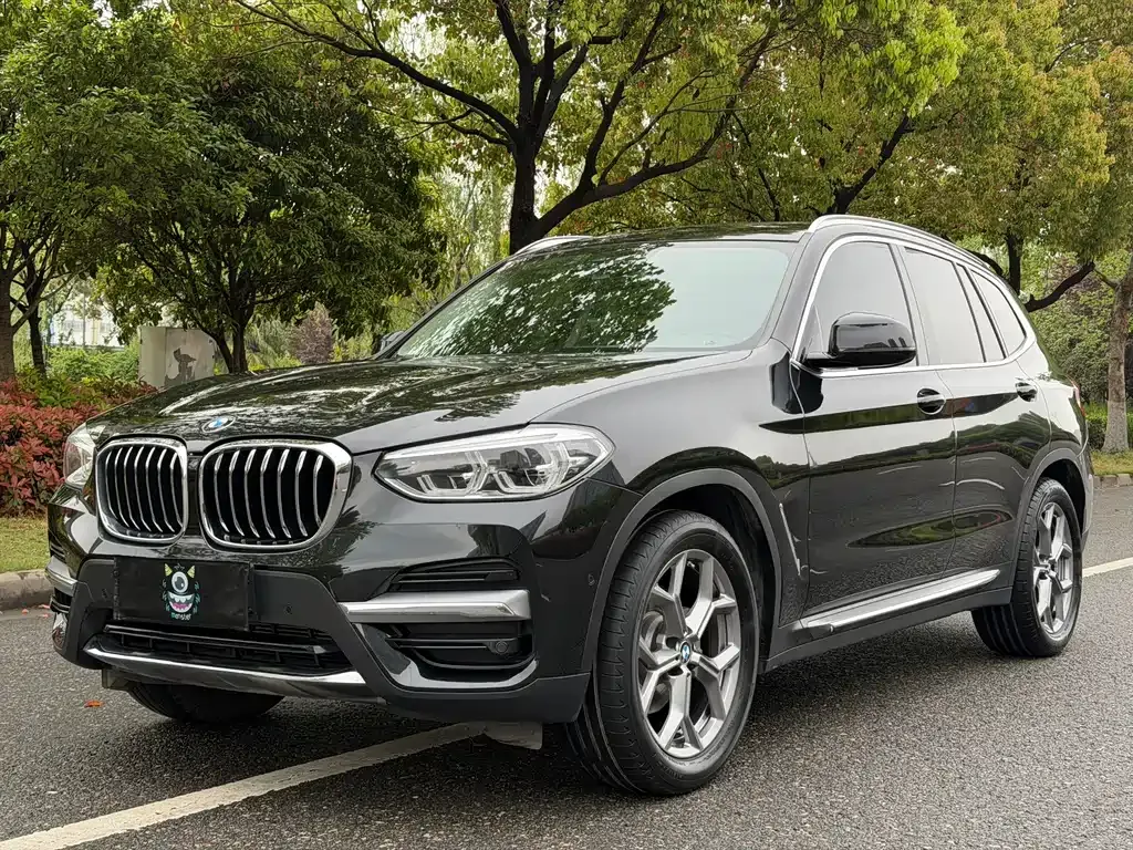BMW X3 — фото 1