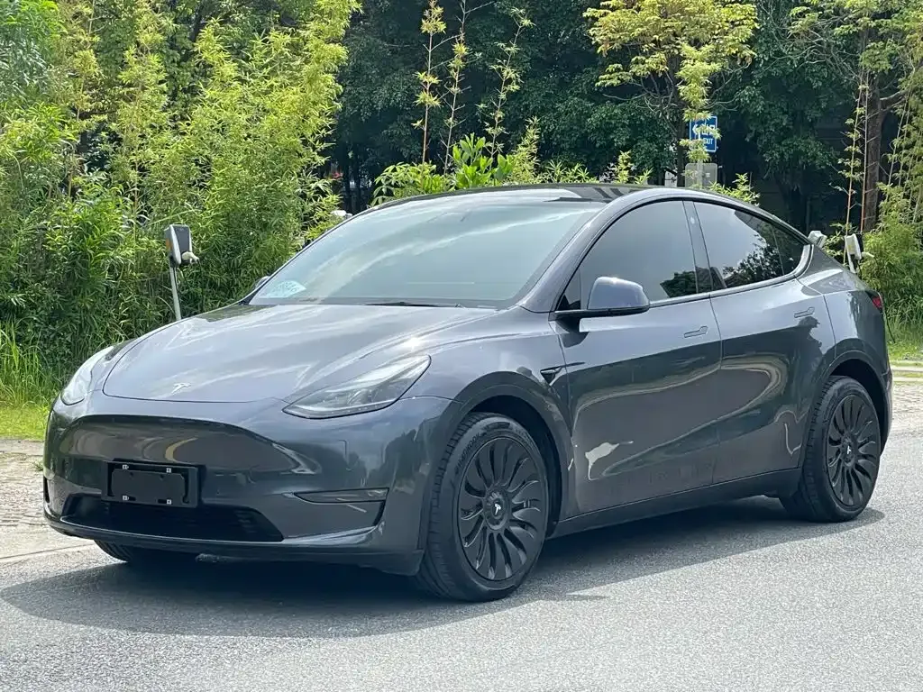 Tesla Model Y — фото 1